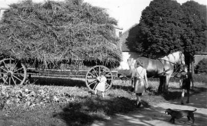 Strohfuder mit den Holtkamps Kindern um 1948