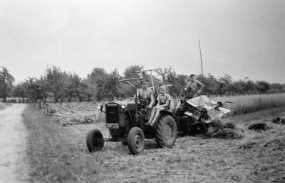 Haferernte mit dem Trecker von Niedermowwe um 1948 Haferernte mit dem Trecker von Niedermowwe um 1948
