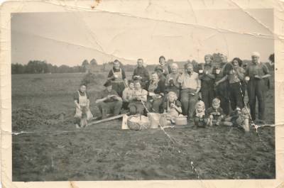 Auf dem Kartoffelacker